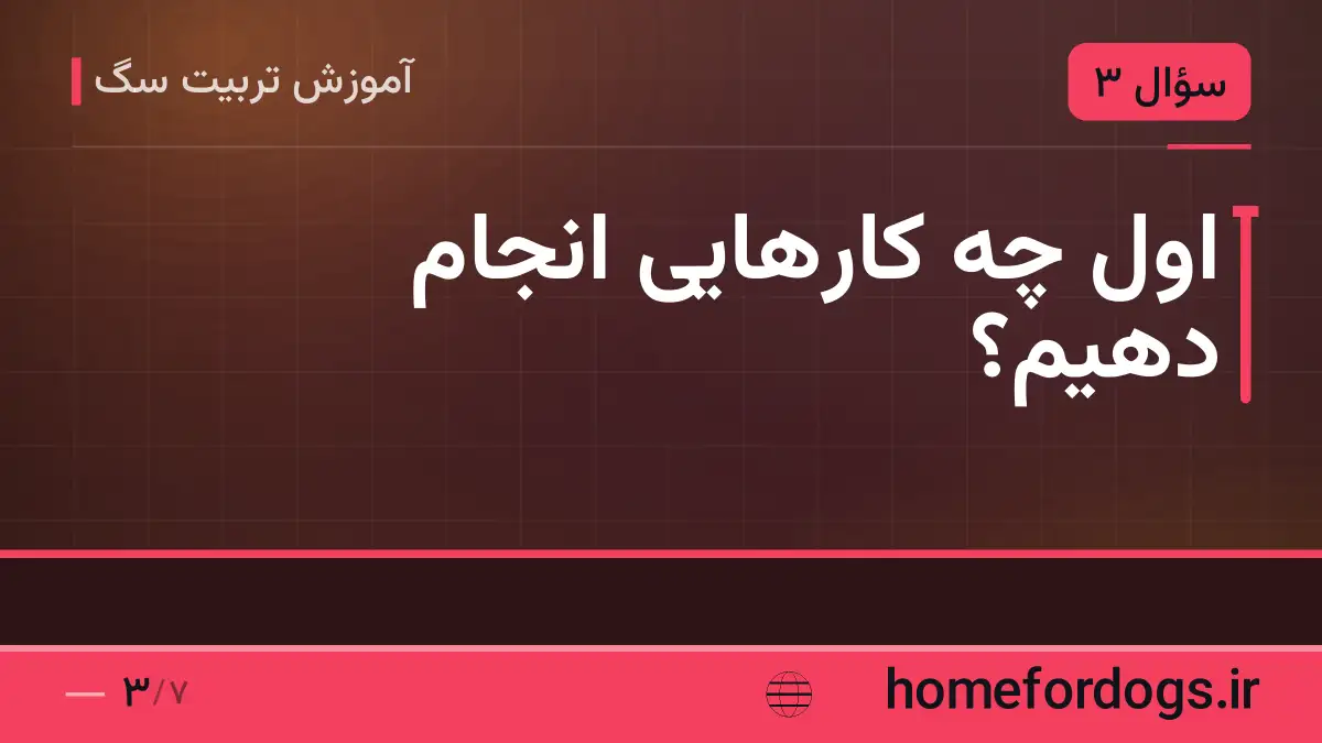 اول چه کارهایی انجام دهیم؟
