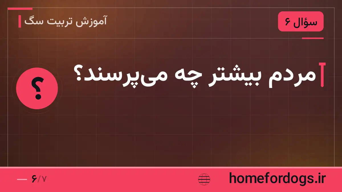 مردم بیشتر چه می‌پرسند؟