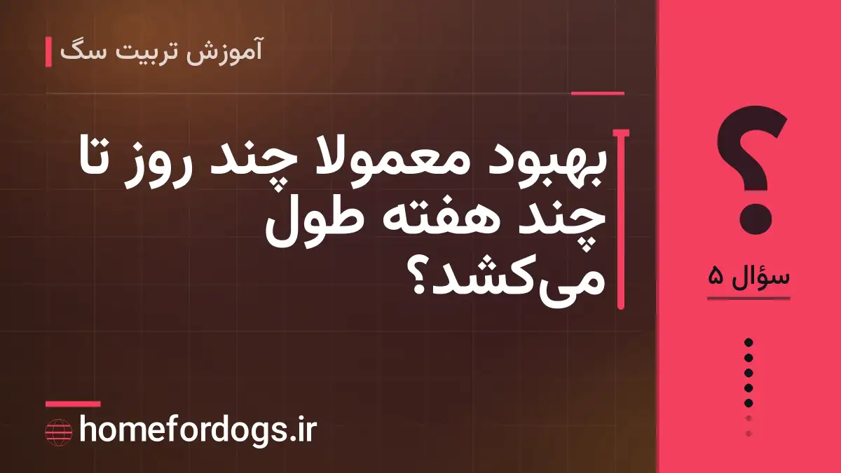 بهبود معمولاً چند روز تا چند هفته طول می‌کشد؟