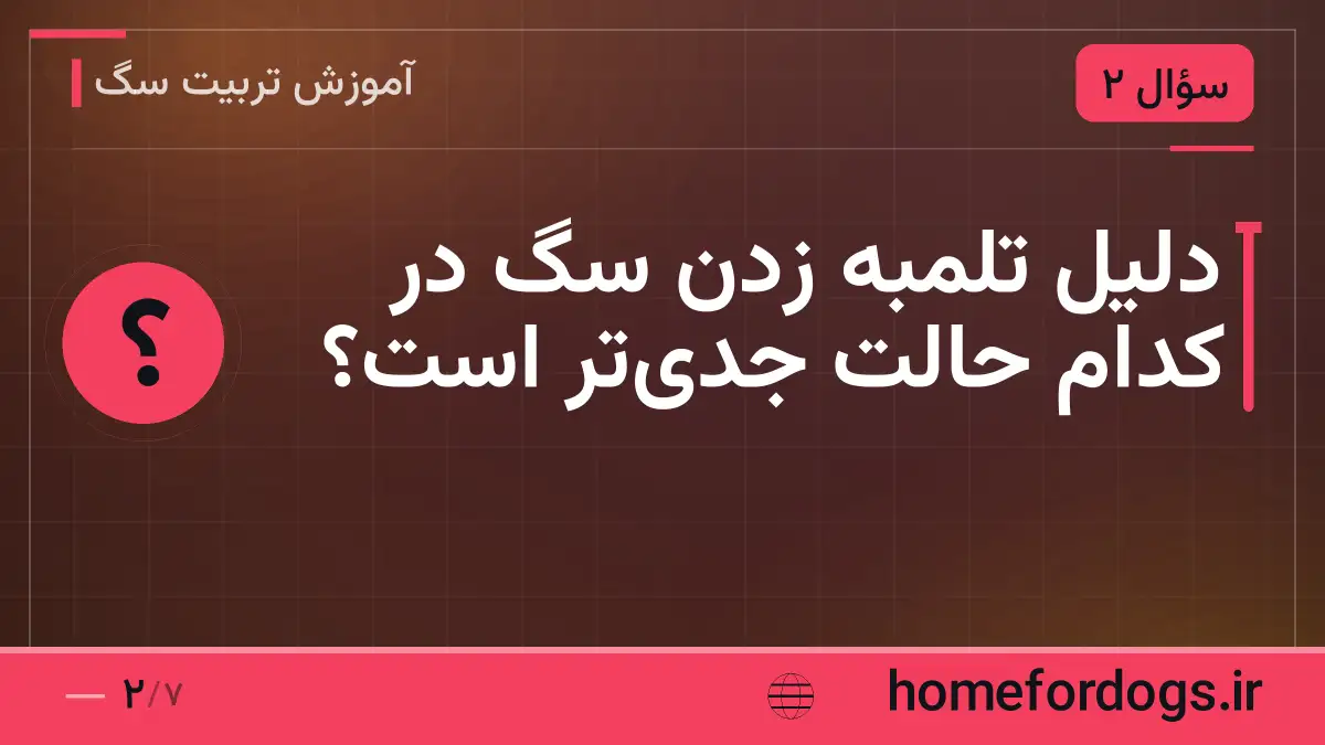 دلیل تلمبه زدن سگ در کدام حالت جدی‌تر است؟