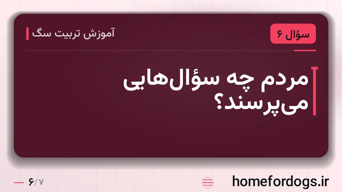 مردم چه سؤال‌هایی می‌پرسند؟
