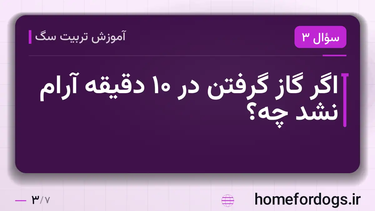 اگر گاز گرفتن در ۱۰ دقیقه آرام نشد چه؟