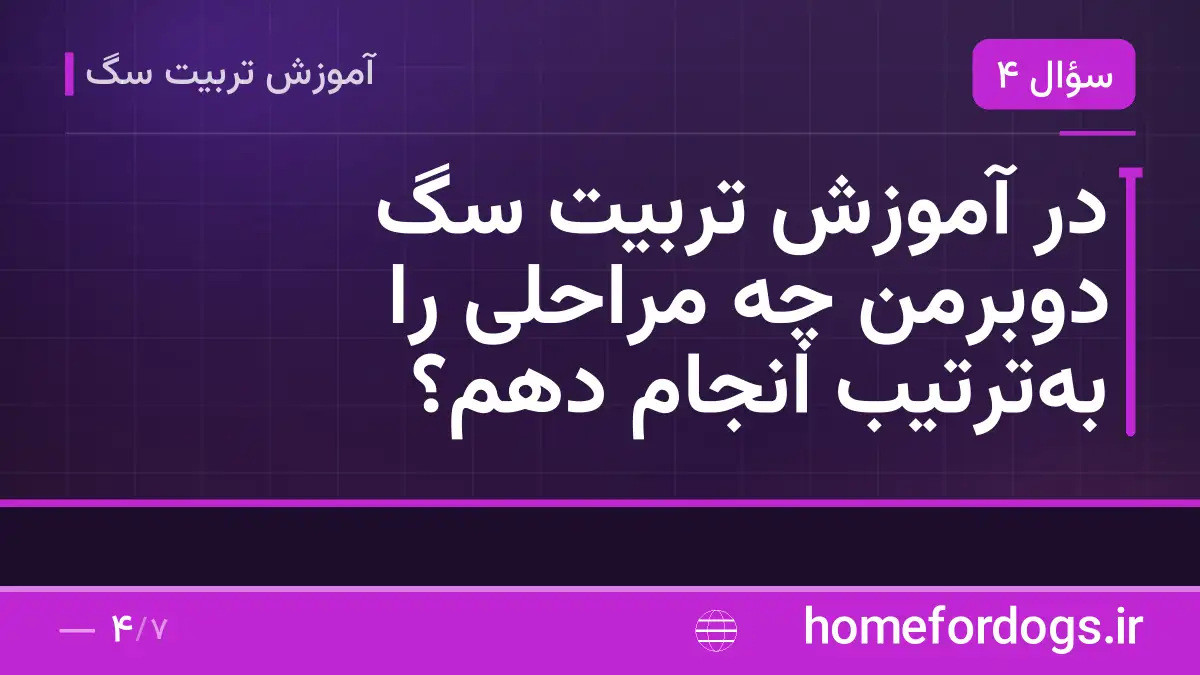 در آموزش تربیت سگ دوبرمن چه مراحلی را به‌ترتیب انجام دهم؟