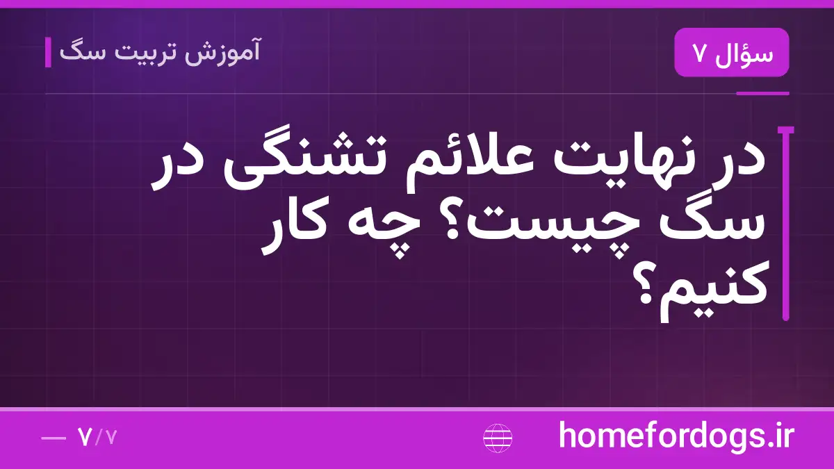 در نهایت علائم تشنگی در سگ چیست؟ چه کار کنیم؟