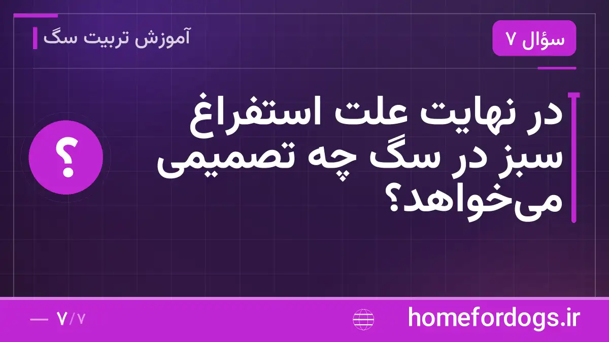 در نهایت علت استفراغ سبز در سگ چه تصمیمی میخواهد؟