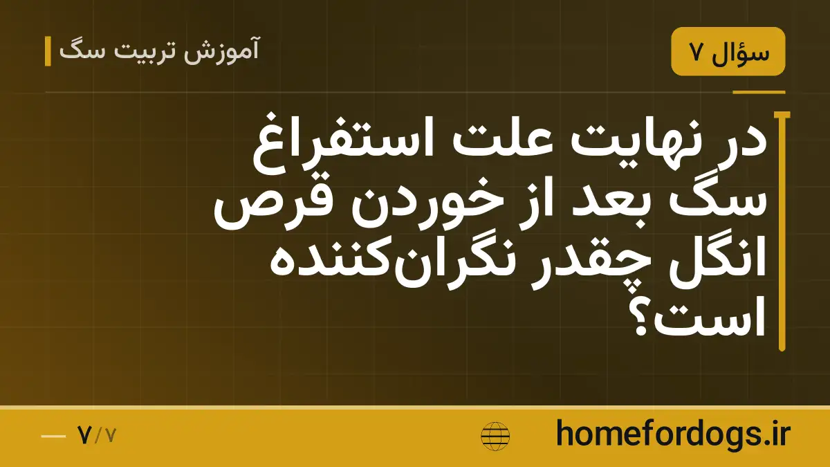 در نهایت علت استفراغ سگ بعد از خوردن قرص انگل چقدر نگران‌کننده است؟
