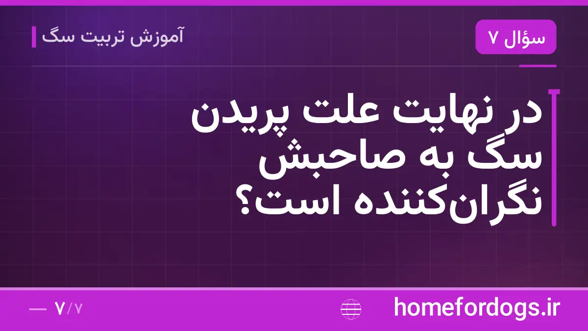 در نهایت علت پریدن سگ به صاحبش نگران‌کننده است؟