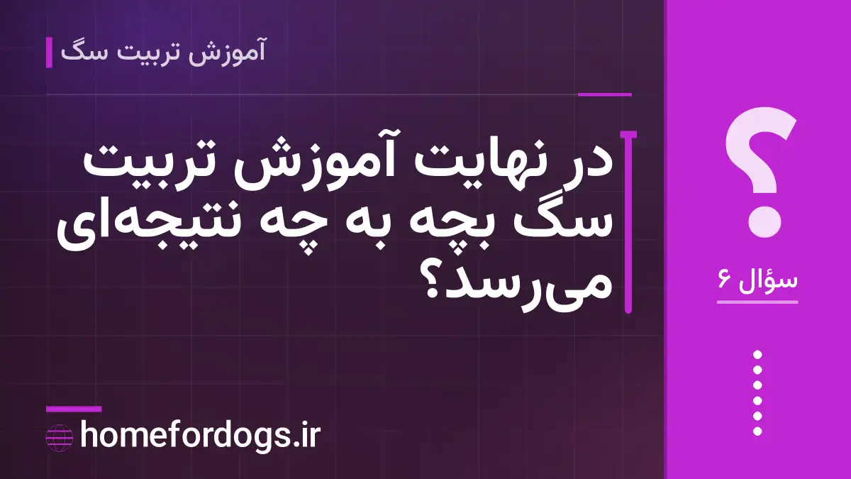 در نهایت آموزش تربیت سگ بچه به چه نتیجه‌ای می‌رسد؟