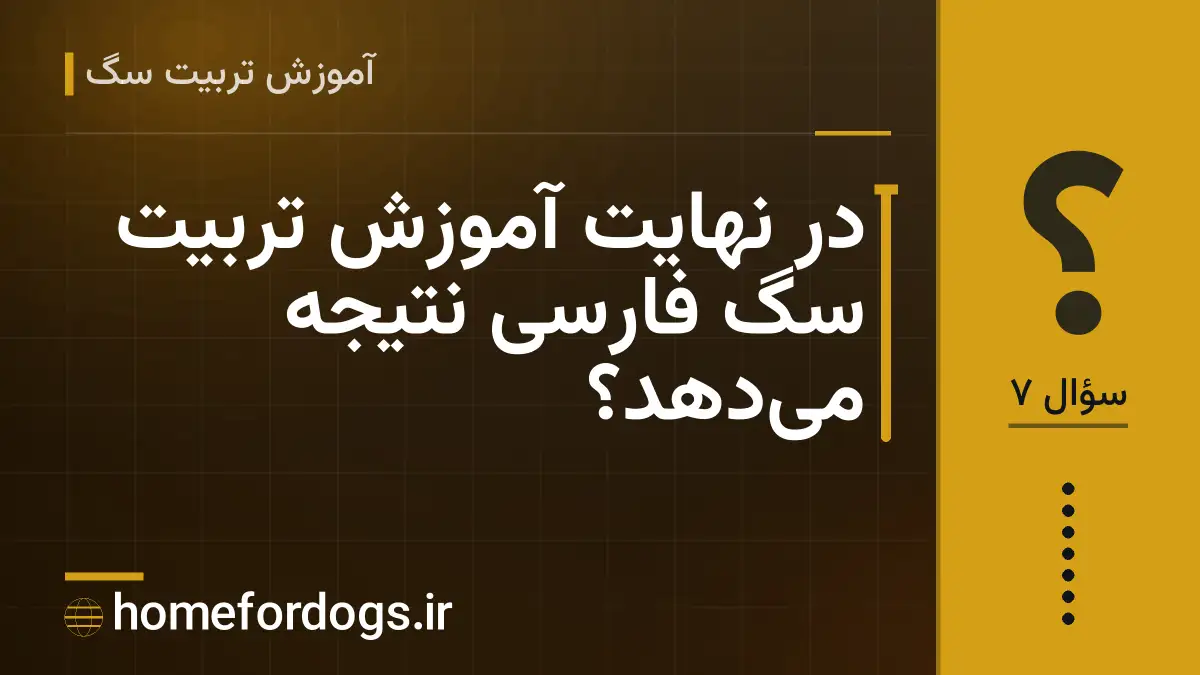 در نهایت آموزش تربیت سگ فارسی نتیجه می‌دهد؟