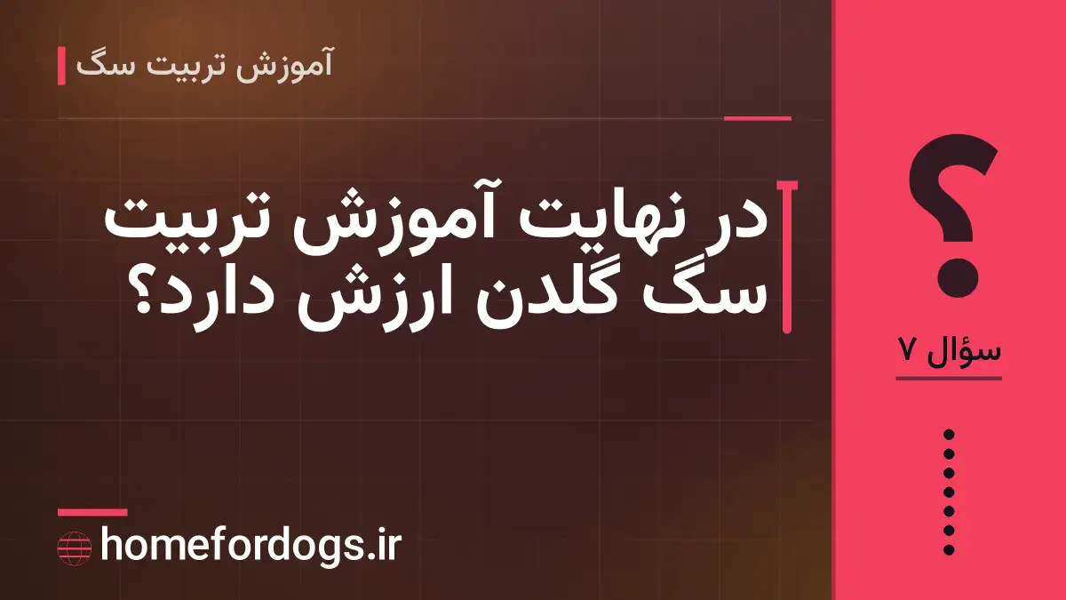 در نهایت آموزش تربیت سگ گلدن ارزش دارد؟
