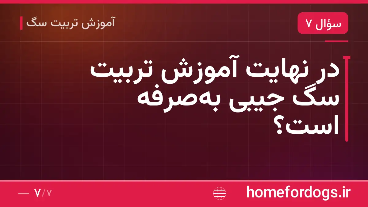 در نهایت آموزش تربیت سگ جیبی بهصرفه است؟