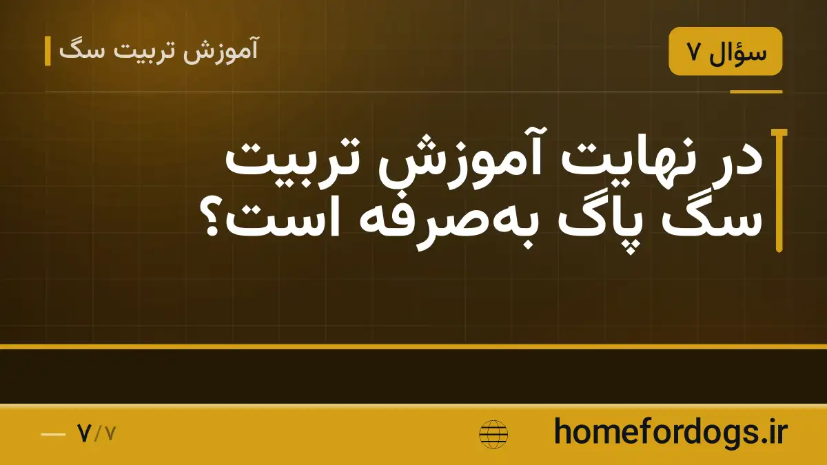 در نهایت آموزش تربیت سگ پاگ به‌صرفه است؟