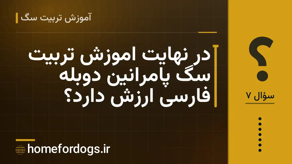 در نهایت اموزش تربیت سگ پامرانین دوبله فارسی ارزش دارد؟