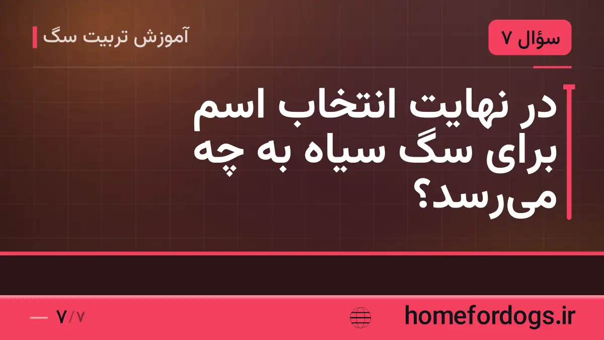 در نهایت انتخاب اسم برای سگ سیاه به چه می‌رسد؟