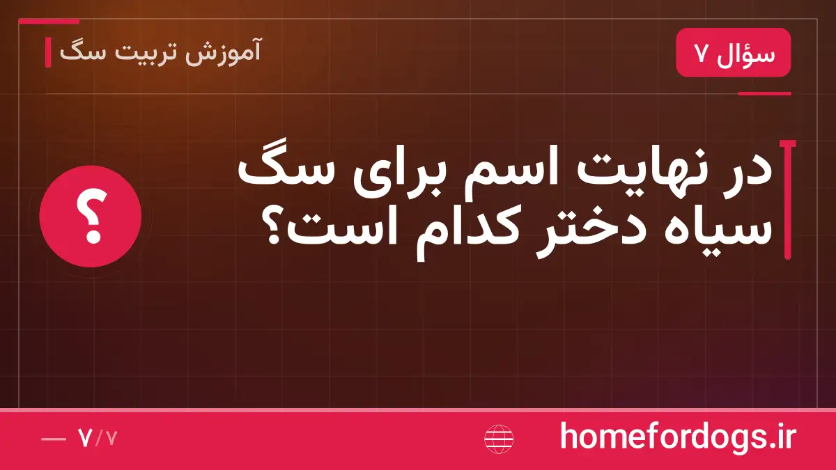 در نهایت اسم برای سگ سیاه دختر کدام است؟