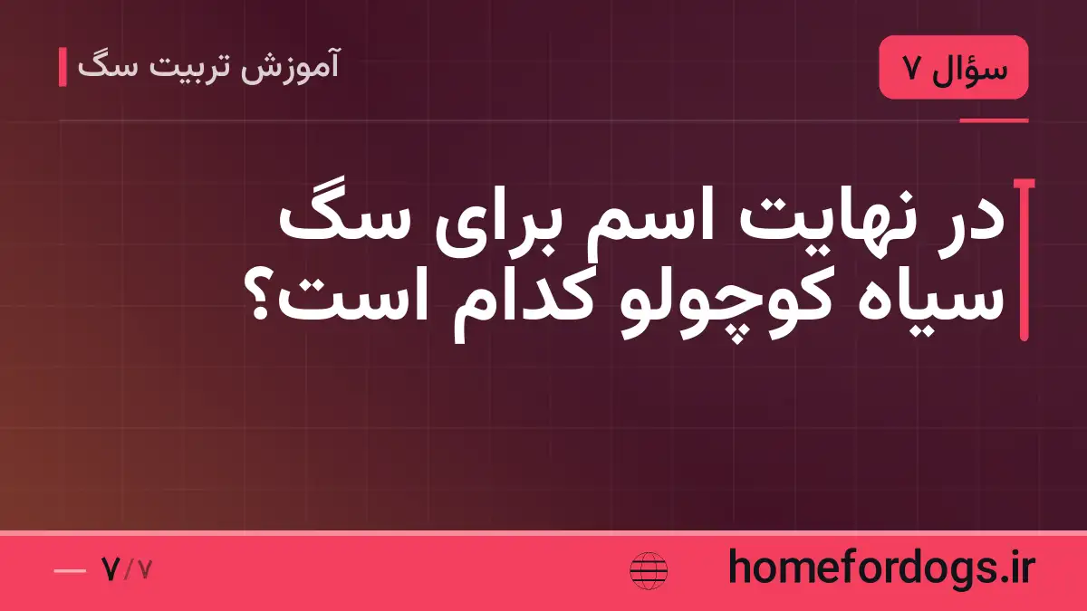 در نهایت اسم برای سگ سیاه کوچولو کدام است؟