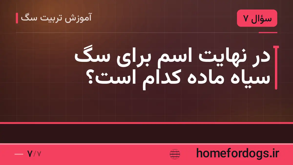 در نهایت اسم برای سگ سیاه ماده کدام است؟