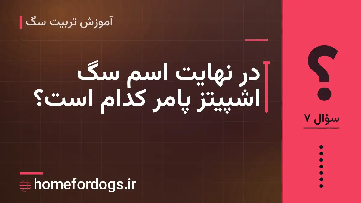 در نهایت اسم سگ اشپیتز پامر کدام است؟