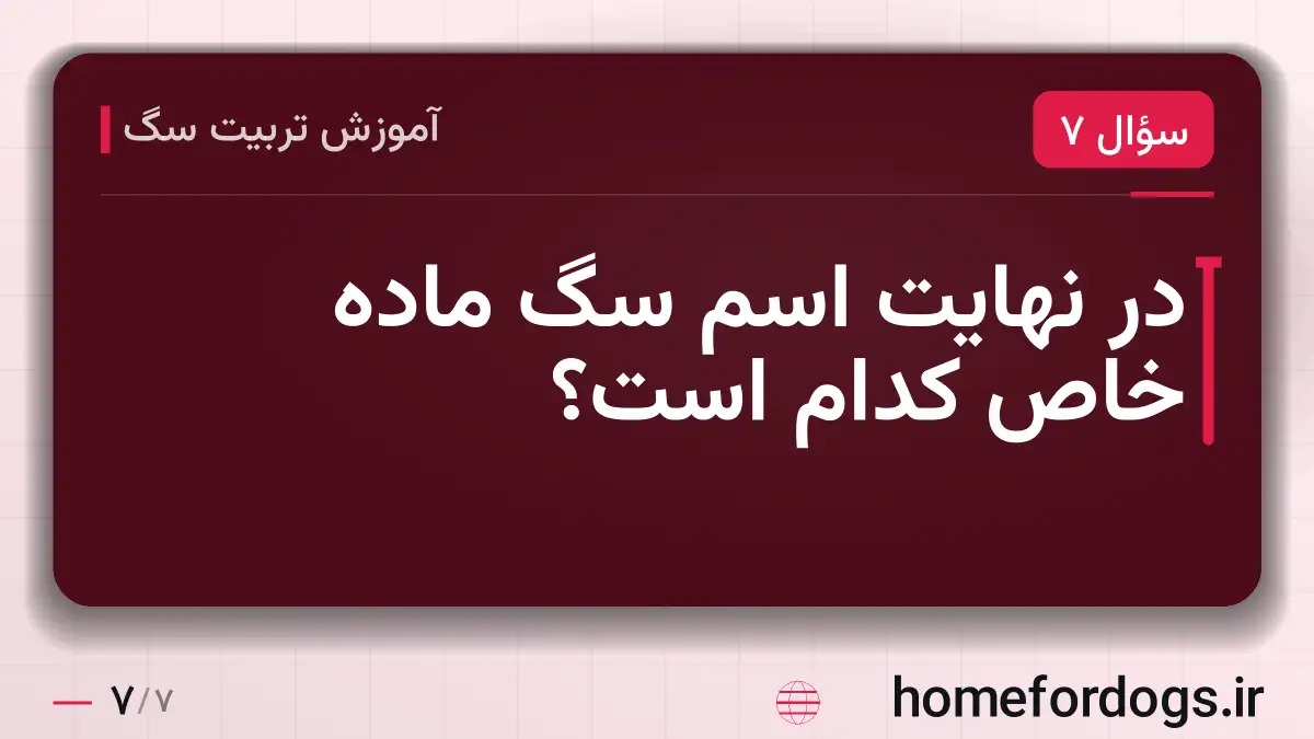در نهایت اسم سگ ماده خاص کدام است؟