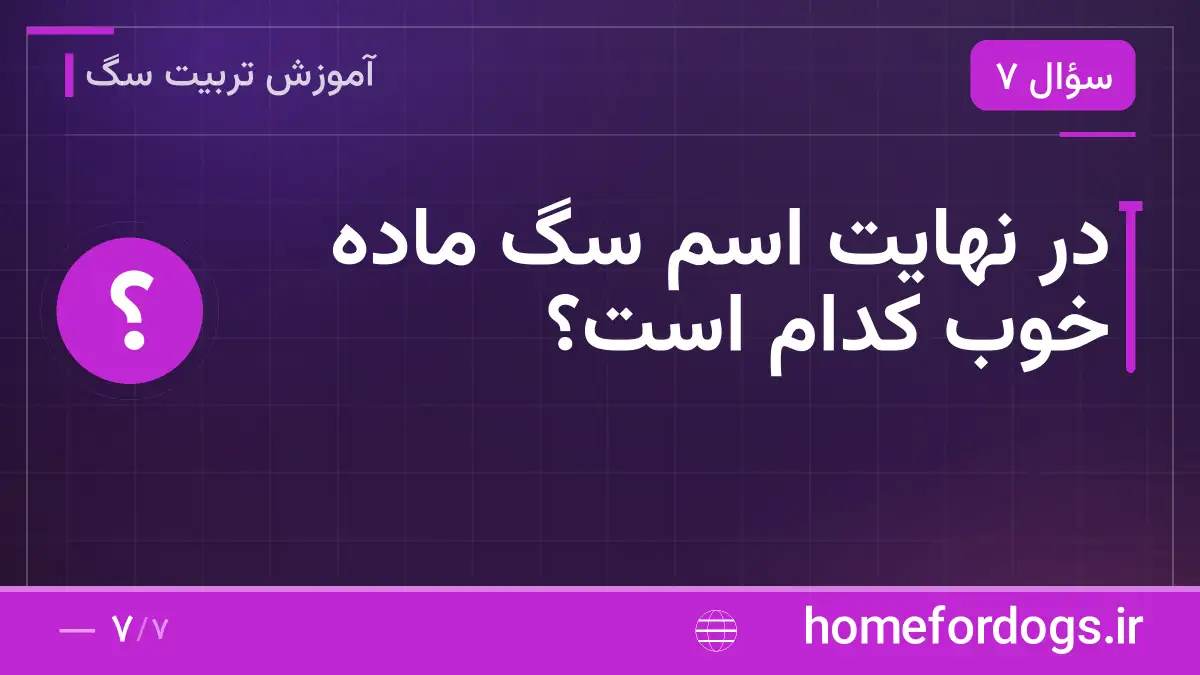 در نهایت اسم سگ ماده خوب کدام است؟