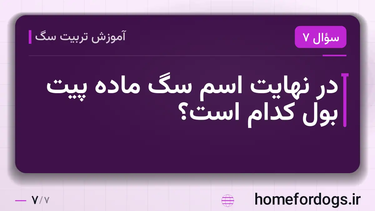 در نهایت اسم سگ ماده پیت بول کدام است؟