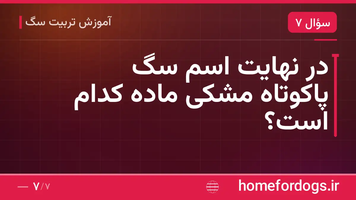 در نهایت اسم سگ پاکوتاه مشکی ماده کدام است؟