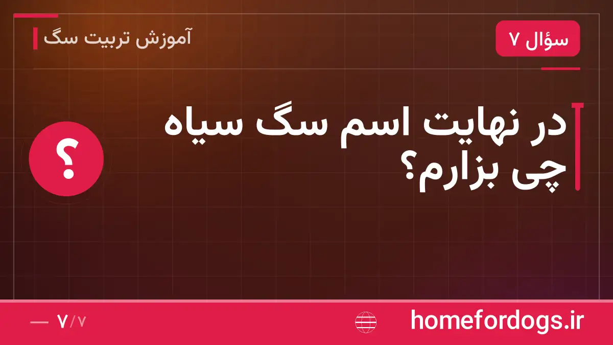 در نهایت اسم سگ سیاه چی بزارم؟