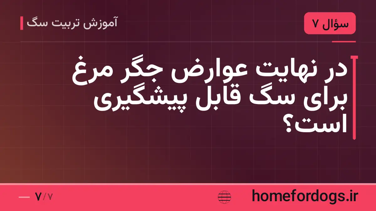 در نهایت عوارض جگر مرغ برای سگ قابل پیشگیری است؟