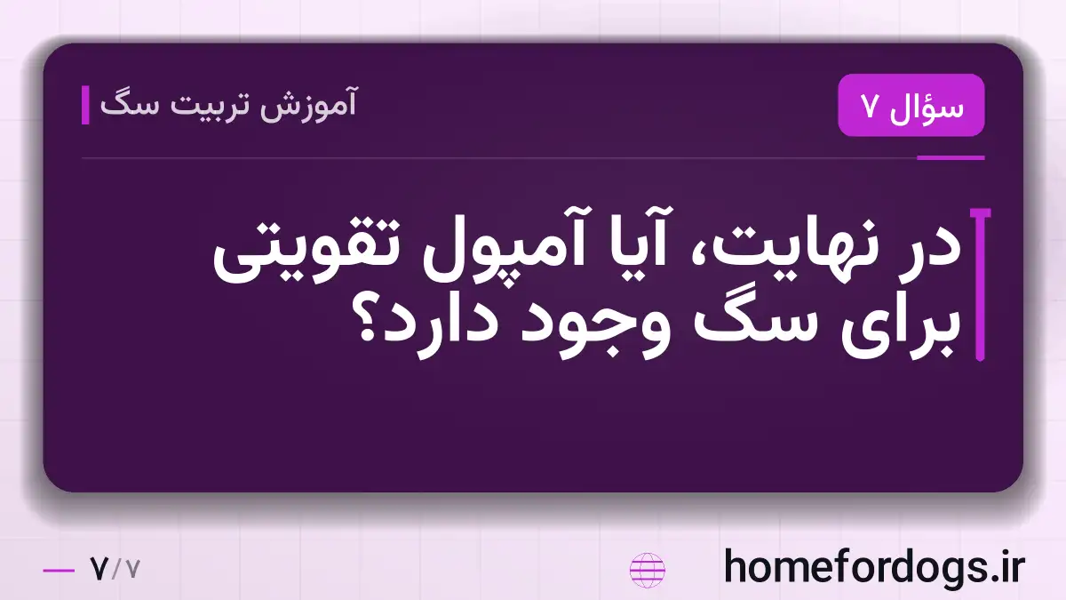 در نهایت، آیا آمپول تقویتی برای سگ وجود دارد؟