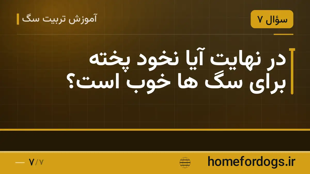 در نهایت آیا نخود پخته برای سگ ها خوب است؟