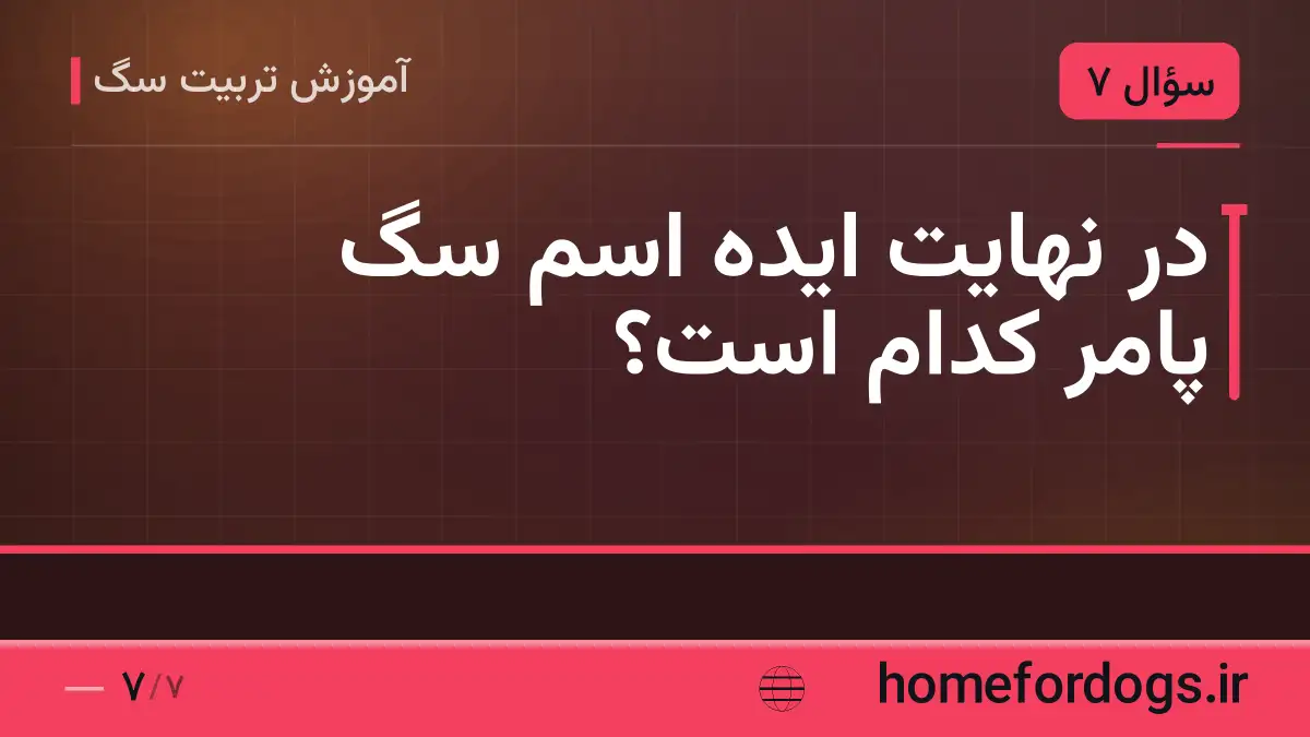 در نهایت ایده اسم سگ پامر کدام است؟
