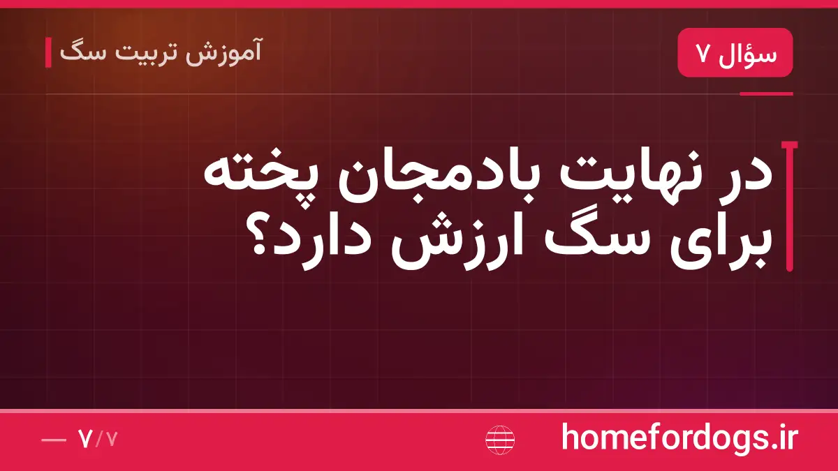 در نهایت بادمجان پخته برای سگ ارزش دارد؟