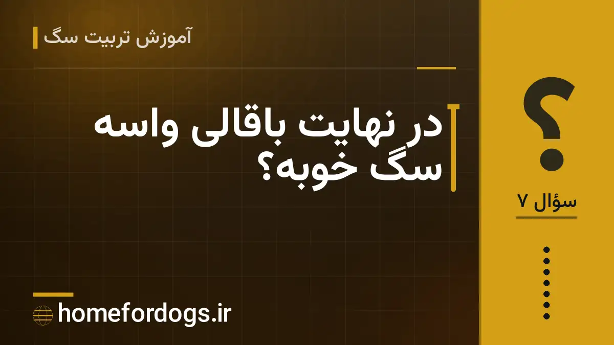 در نهایت باقالی واسه سگ خوبه؟