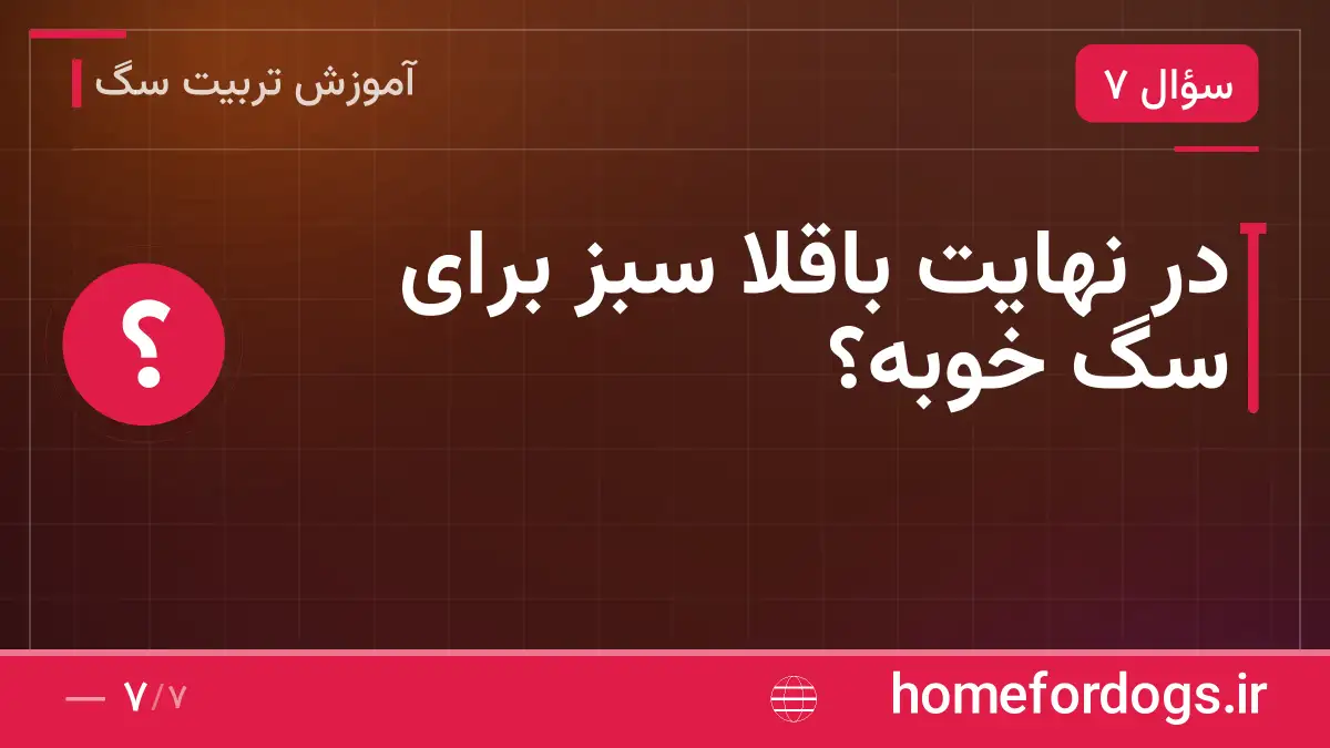 در نهایت باقلا سبز برای سگ خوبه؟