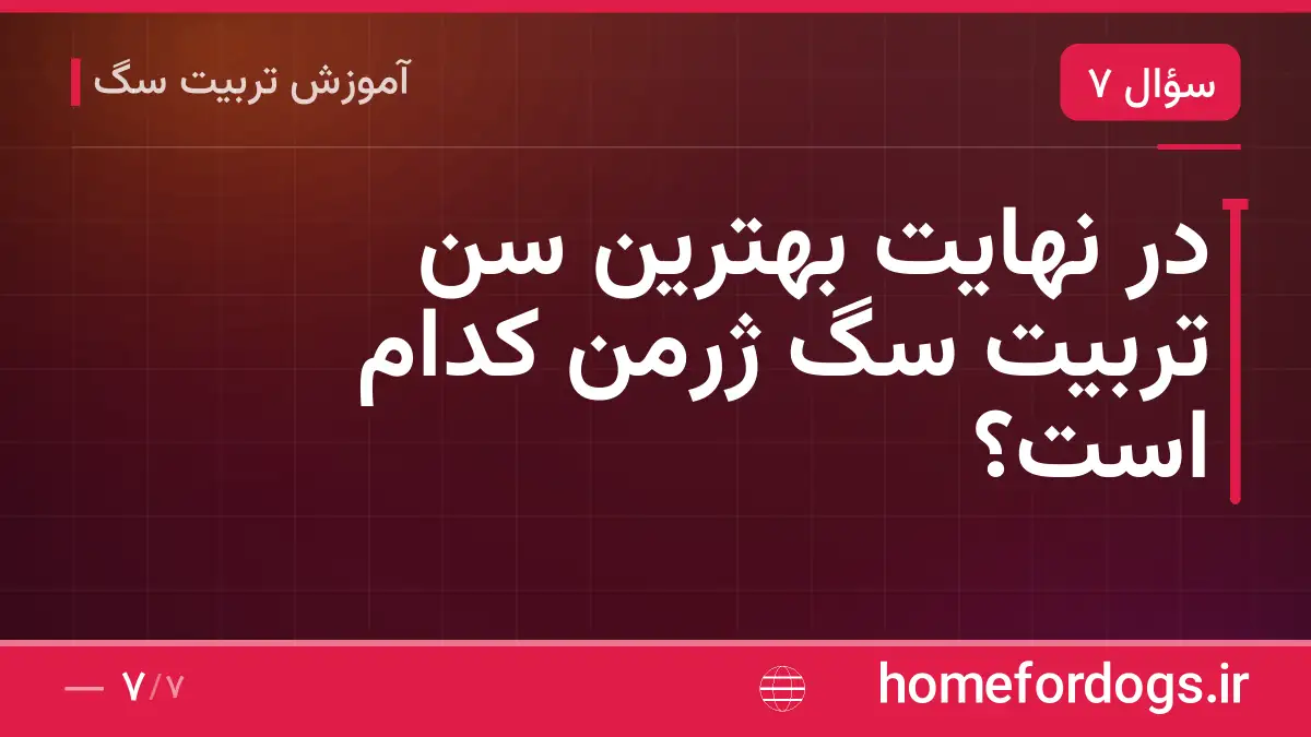 در نهایت بهترین سن تربیت سگ ژرمن کدام است؟