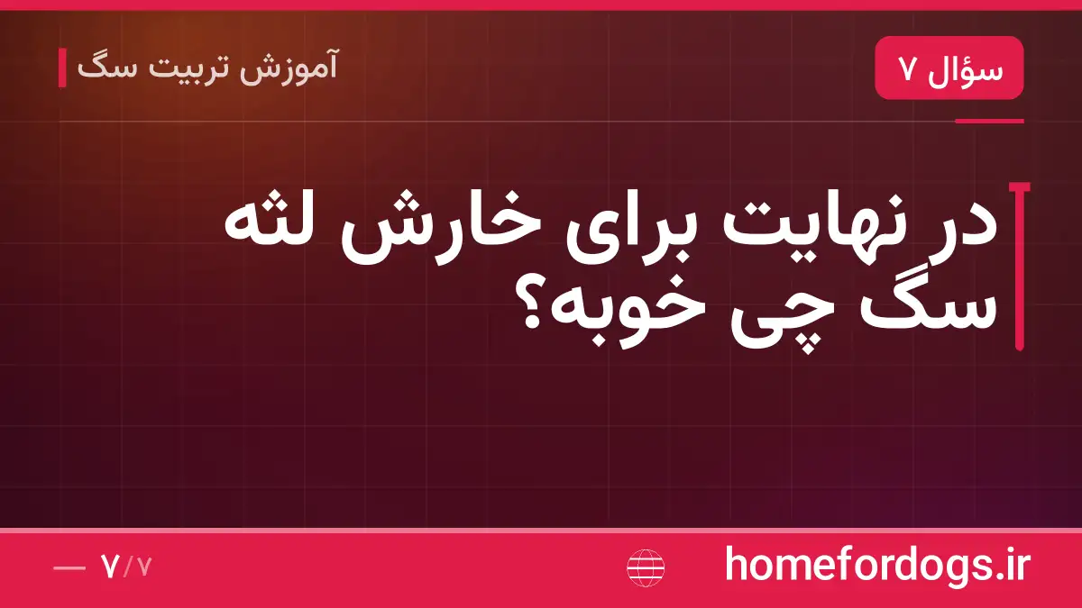 در نهایت برای خارش لثه سگ چی خوبه؟