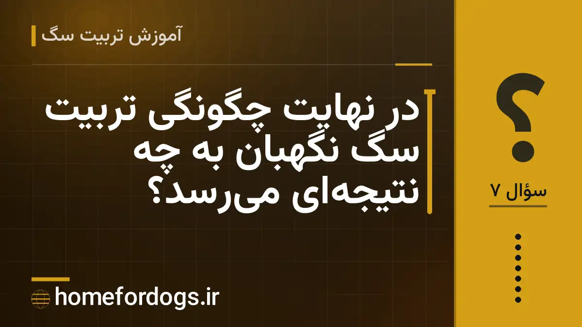 در نهایت چگونگی تربیت سگ نگهبان به چه نتیجه‌ای می‌رسد؟