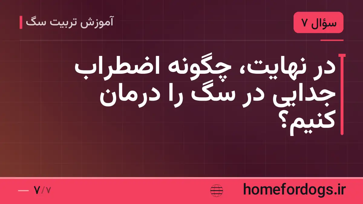 در نهایت، چگونه اضطراب جدایی در سگ را درمان کنیم؟