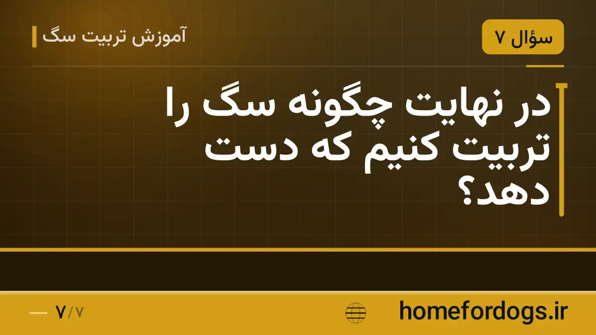 در نهایت چگونه سگ را تربیت کنیم که دست دهد؟