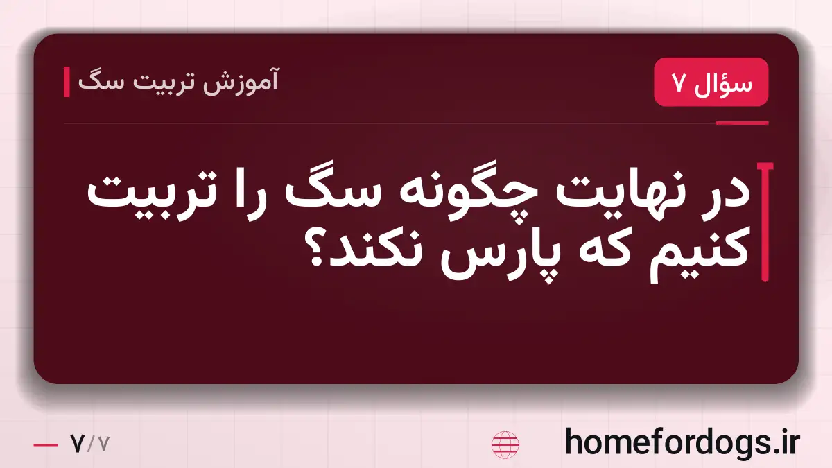 در نهایت چگونه سگ را تربیت کنیم که پارس نکند؟
