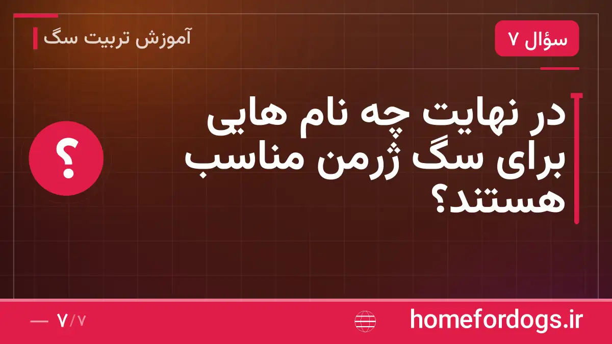 در نهایت چه نام هایی برای سگ ژرمن مناسب هستند؟