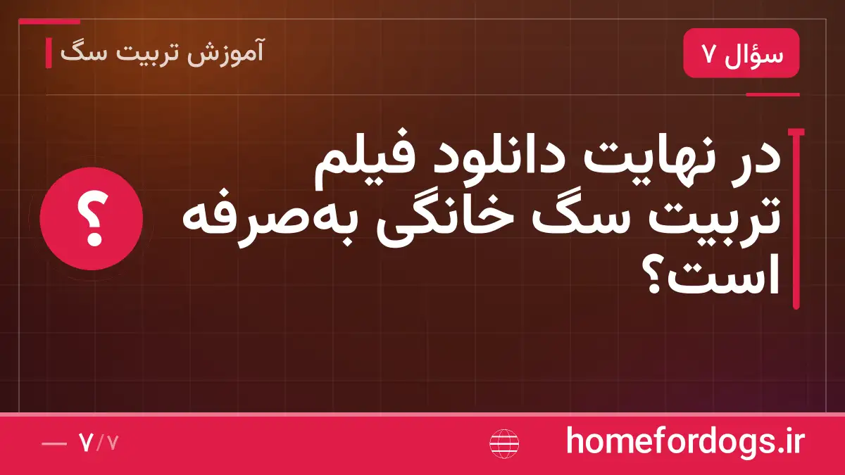 در نهایت دانلود فیلم تربیت سگ خانگی بهصرفه است؟