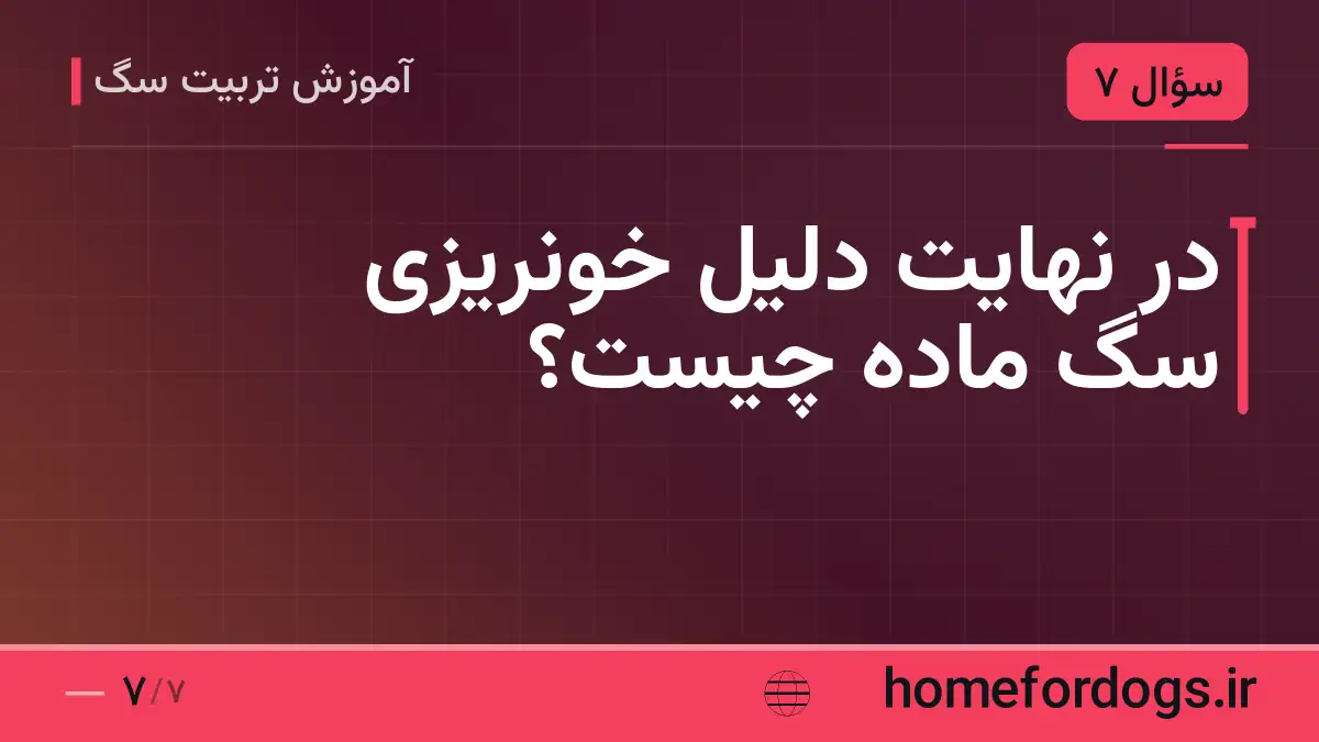در نهایت دلیل خونریزی سگ ماده چیست؟