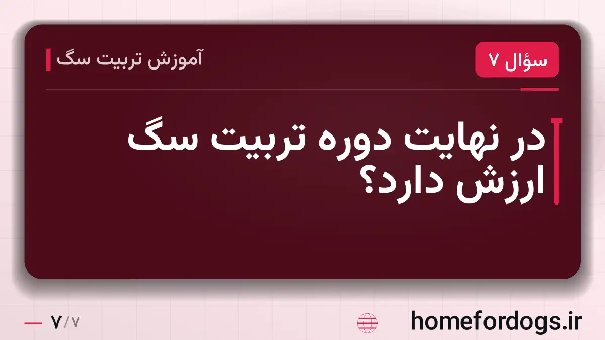 در نهایت دوره تربیت سگ ارزش دارد؟