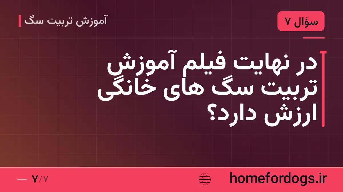 در نهایت فیلم آموزش تربیت سگ های خانگی ارزش دارد؟
