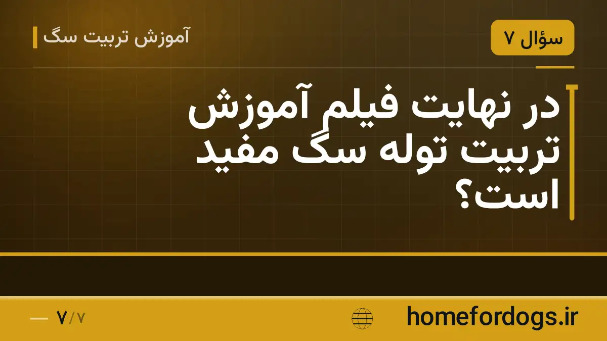 در نهایت فیلم آموزش تربیت توله سگ مفید است؟