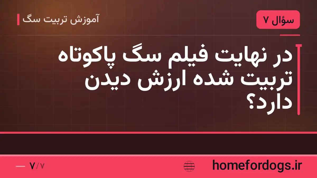 در نهایت فیلم سگ پاکوتاه تربیت شده ارزش دیدن دارد؟