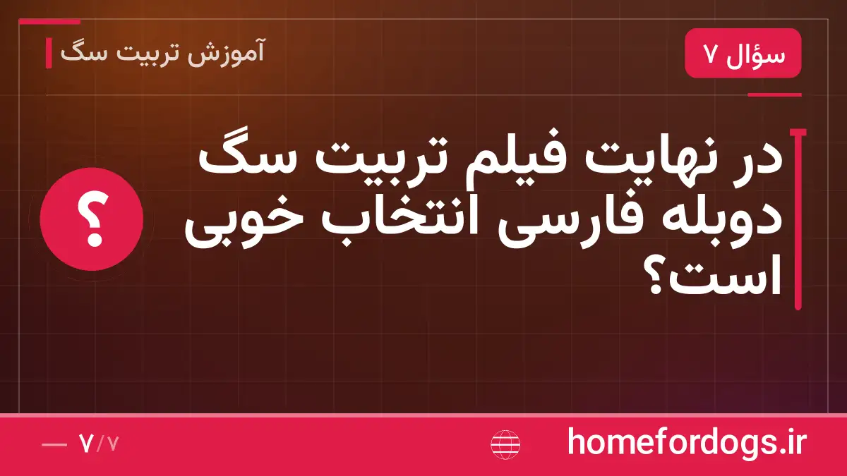 در نهایت فیلم تربیت سگ دوبله فارسی انتخاب خوبی است؟