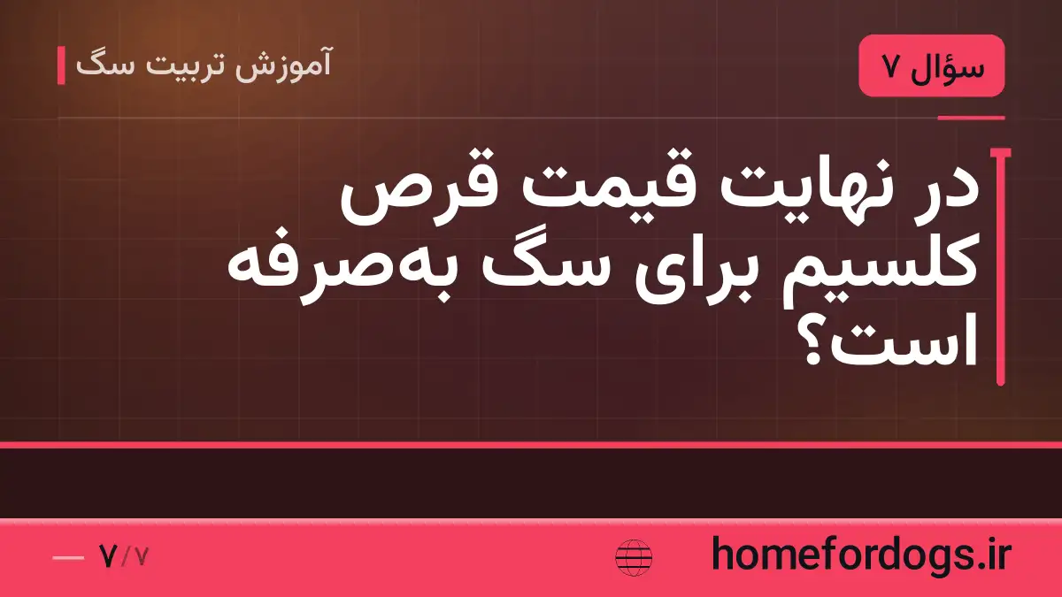 در نهایت قیمت قرص کلسیم برای سگ به‌صرفه است؟