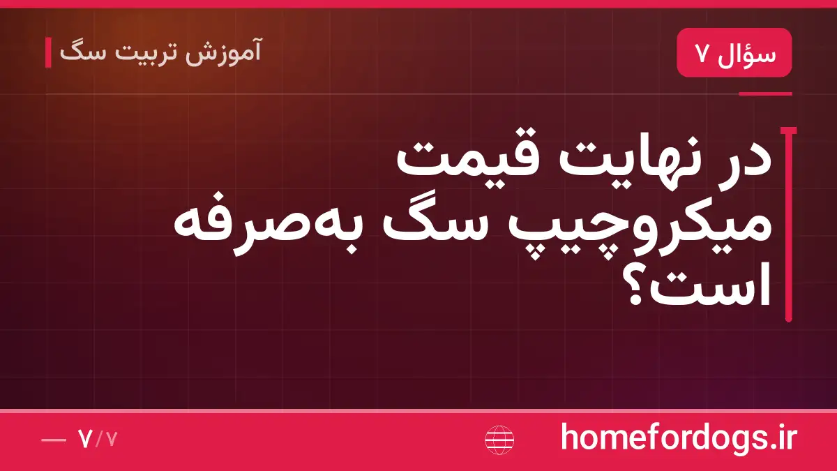 در نهایت قیمت میکروچیپ سگ به‌صرفه است؟